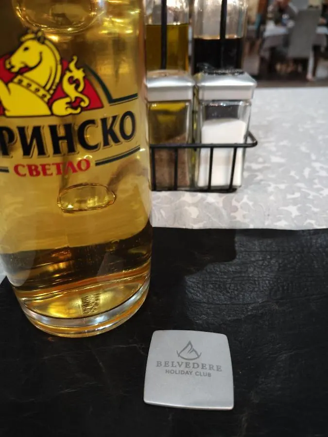 Bansko Belvedere Apartament 公寓